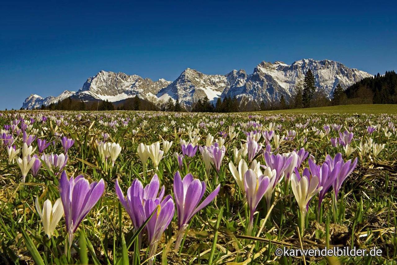 Ferienhotel Barmsee Krün Екстериор снимка
